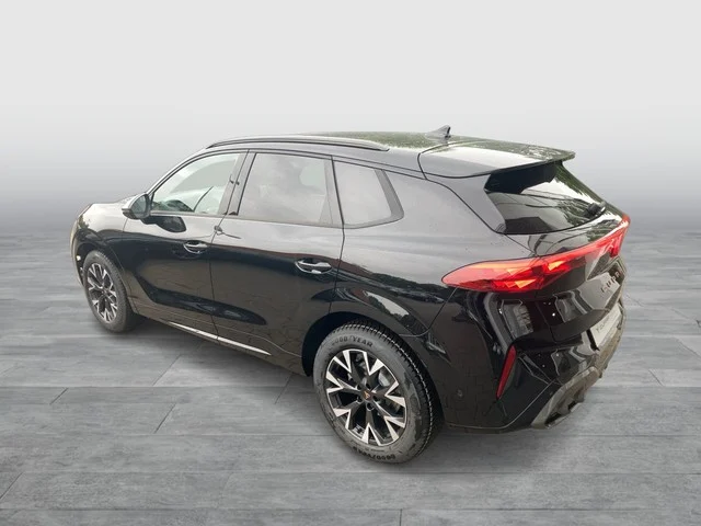 Cupra Terramar von Hinten