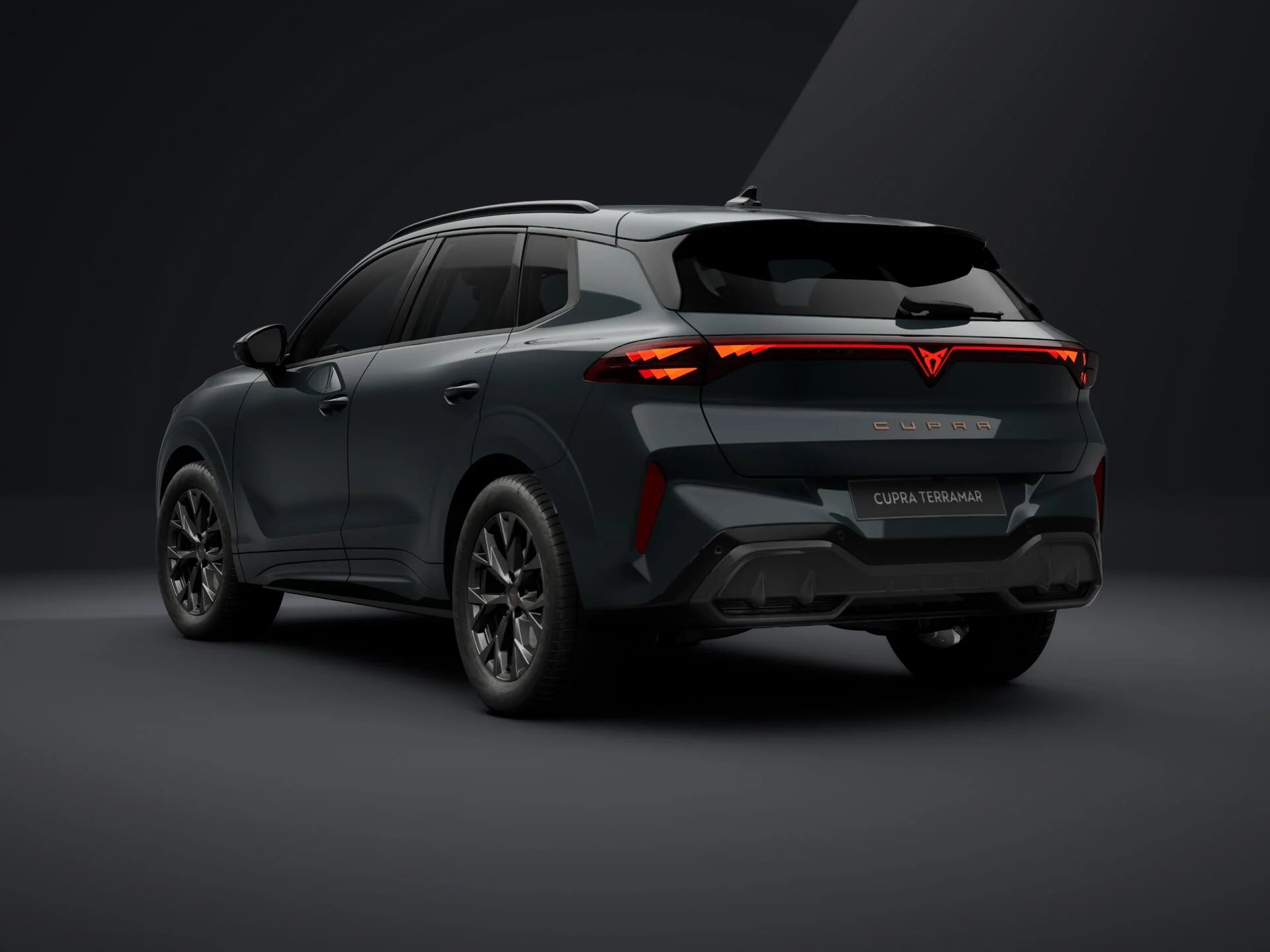 Cupra Terramar von hinten