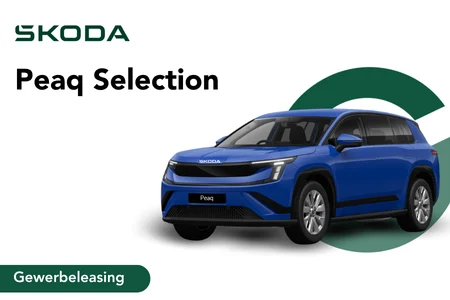 Skoda Peaq Selection Angebotsbild GK